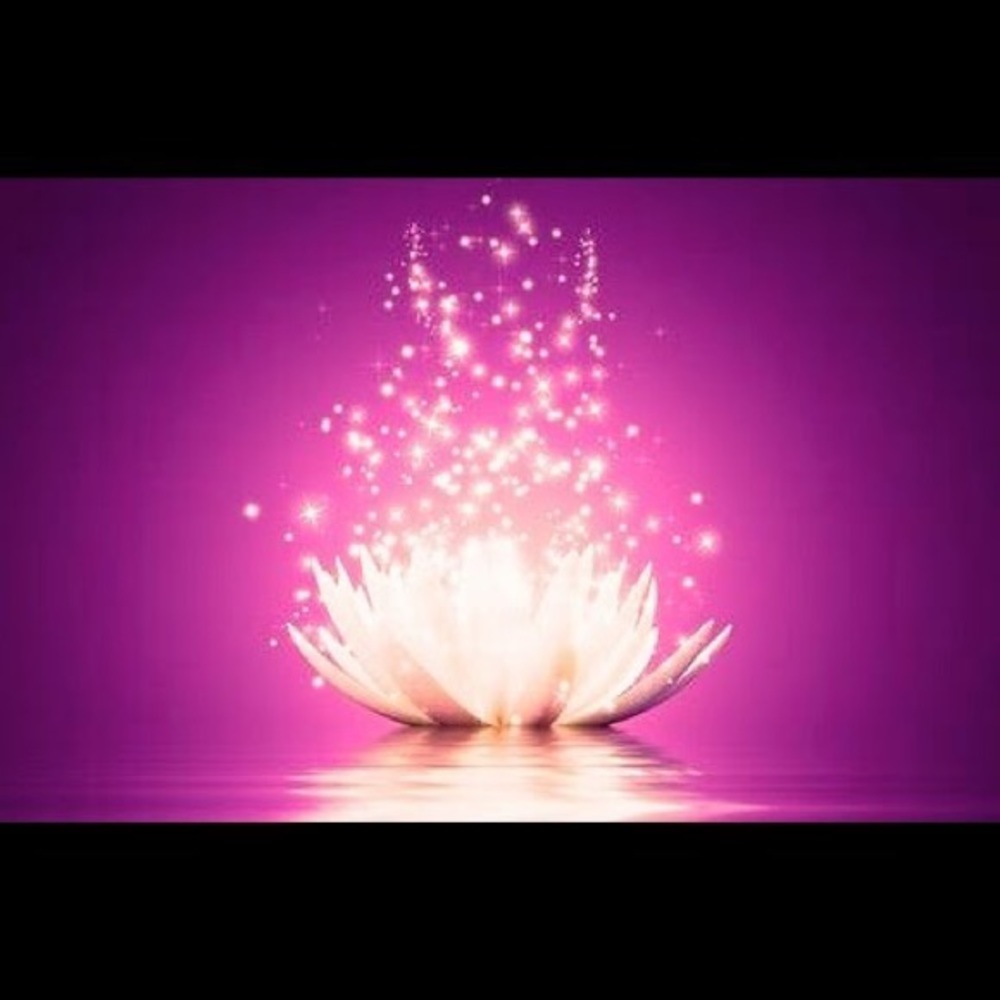 Meet your Posher, Li